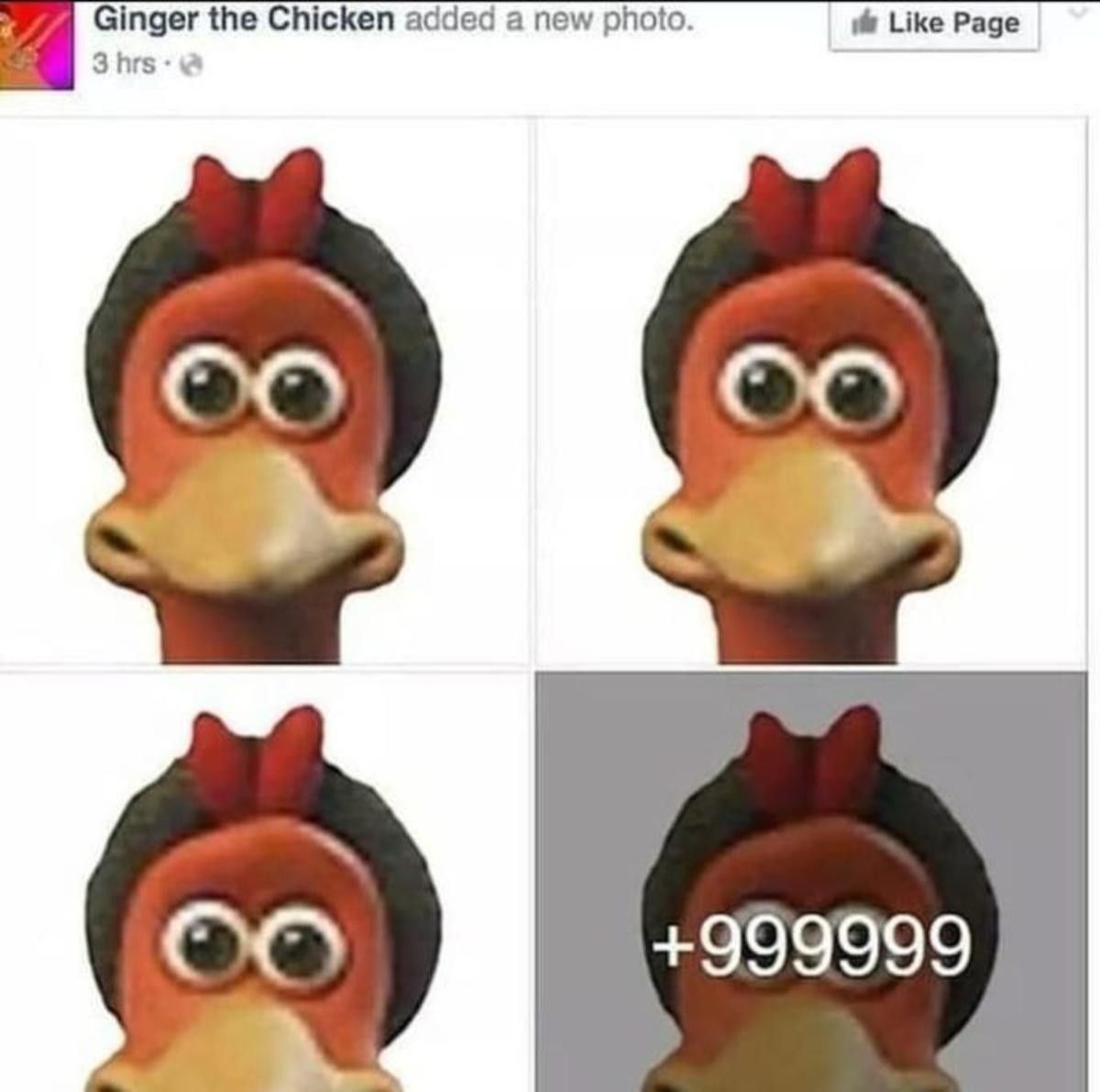 Chikin Bizkit
