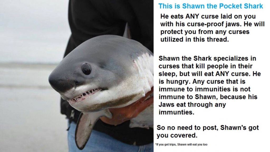 Terry the Fat Shark got a son