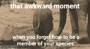 I dont know how to elephant