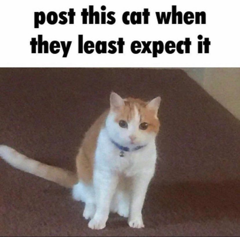 ¥¥¥