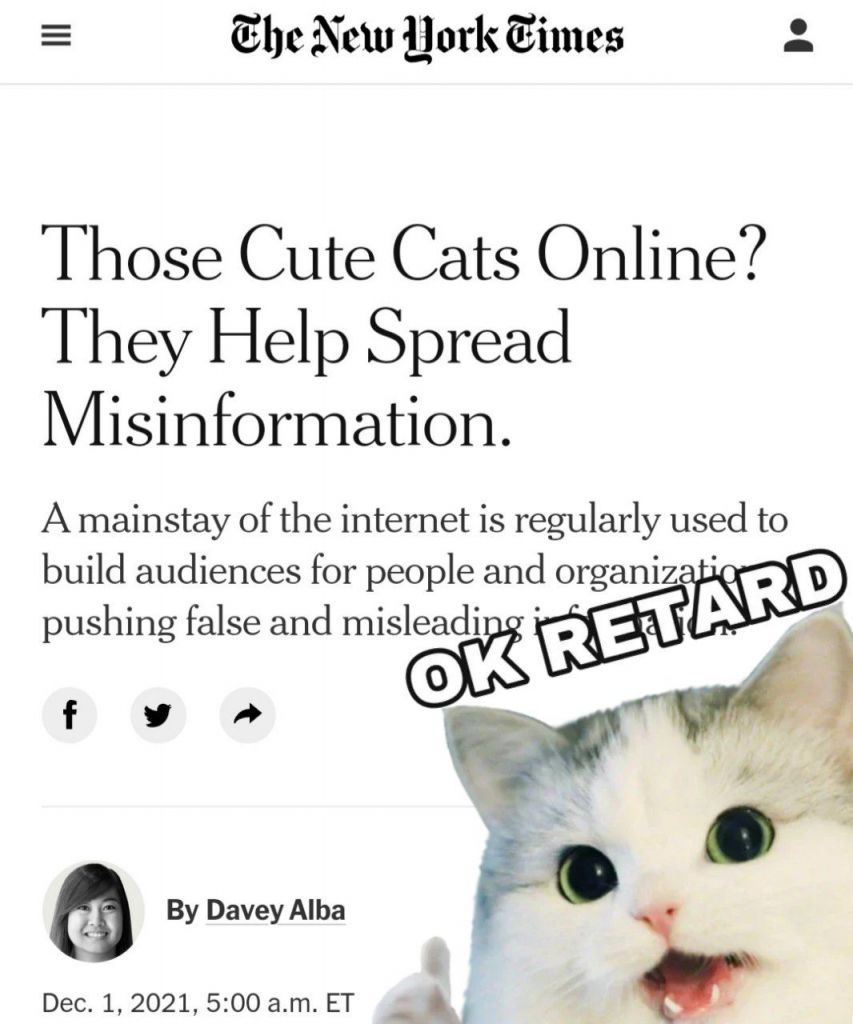 Gato