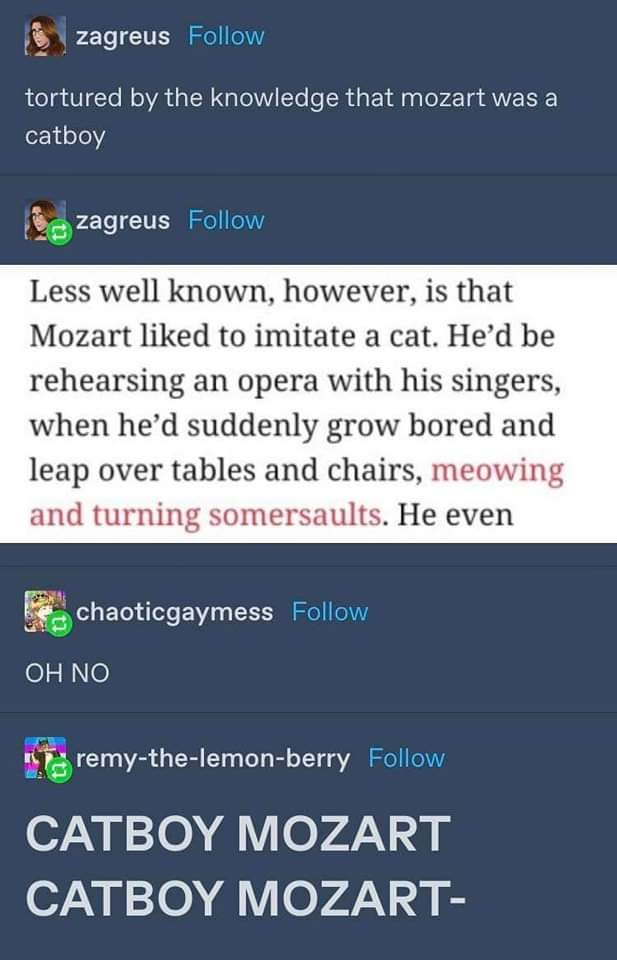 furry mozart
