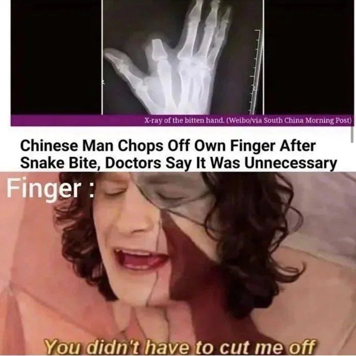 It was a python