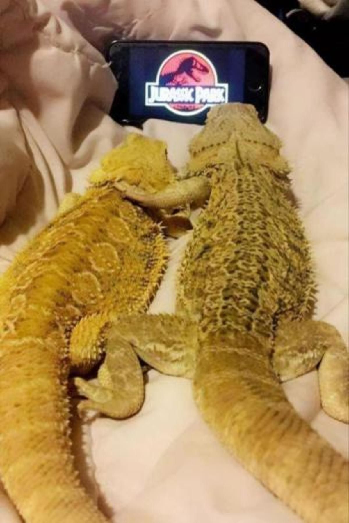 Relationship goals