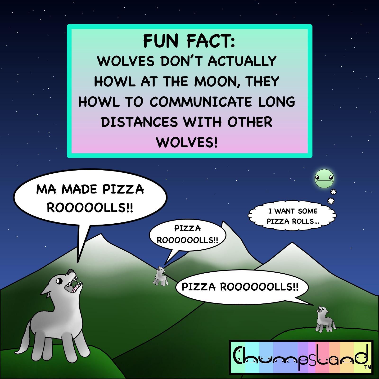 A Fun Fact About Wolves
