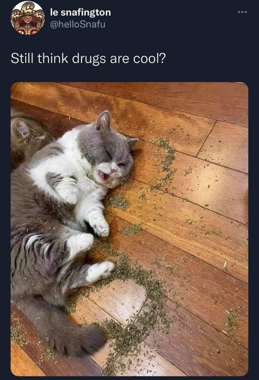 Wasted