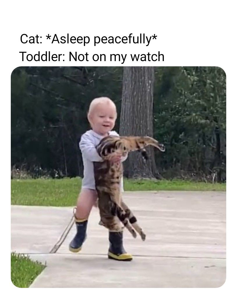 Explains why cats hate kids