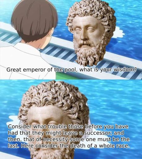 There must be a meme inside here somewhere...