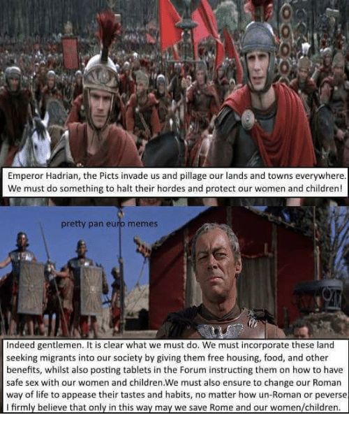 Grooming loicense