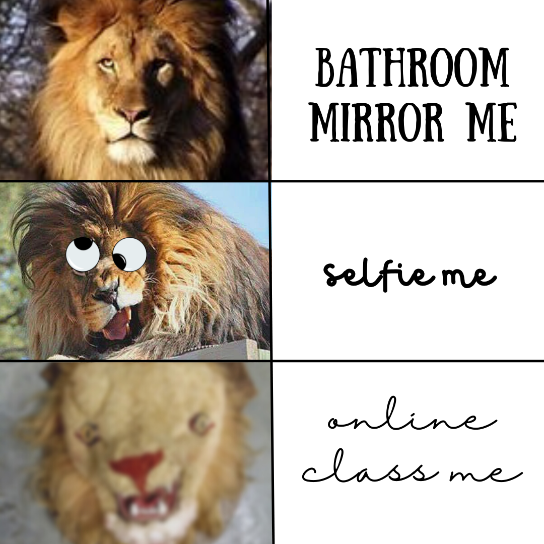 Bathroom Mirror LOML :')
