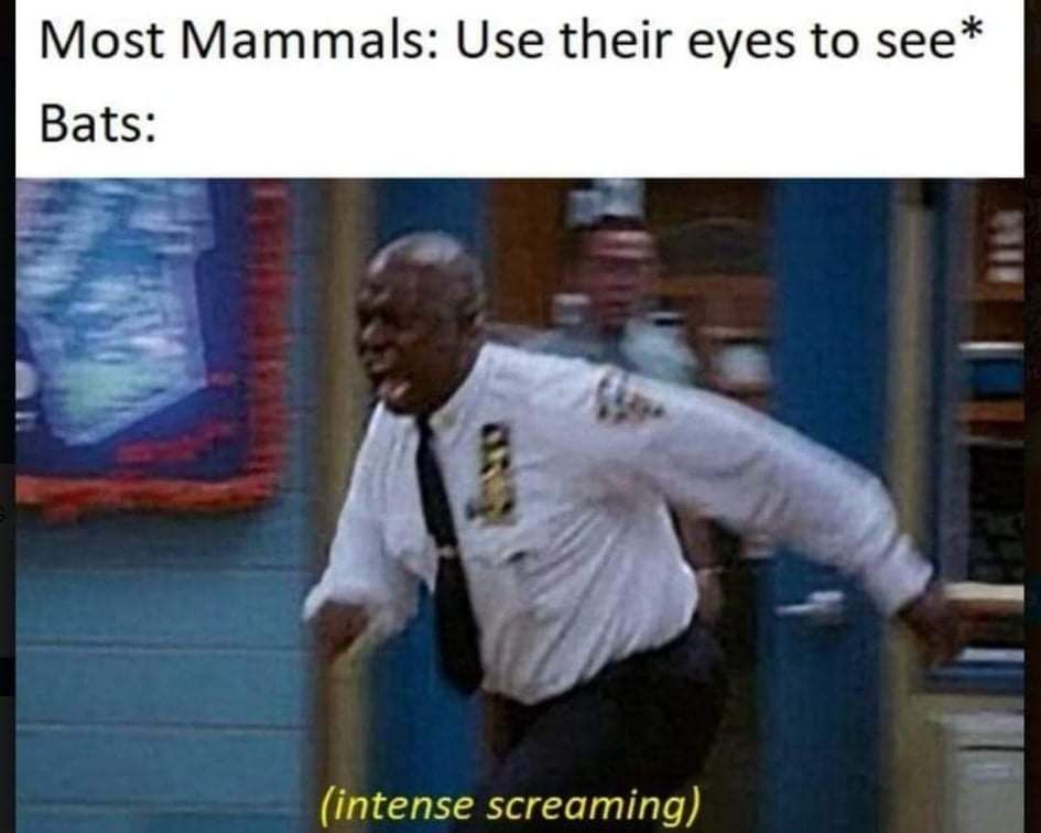 They also have eyes but whatever