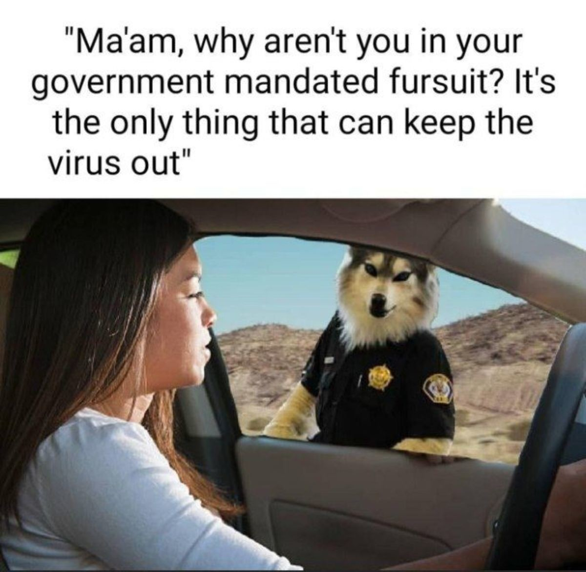 this is what [({they})] want