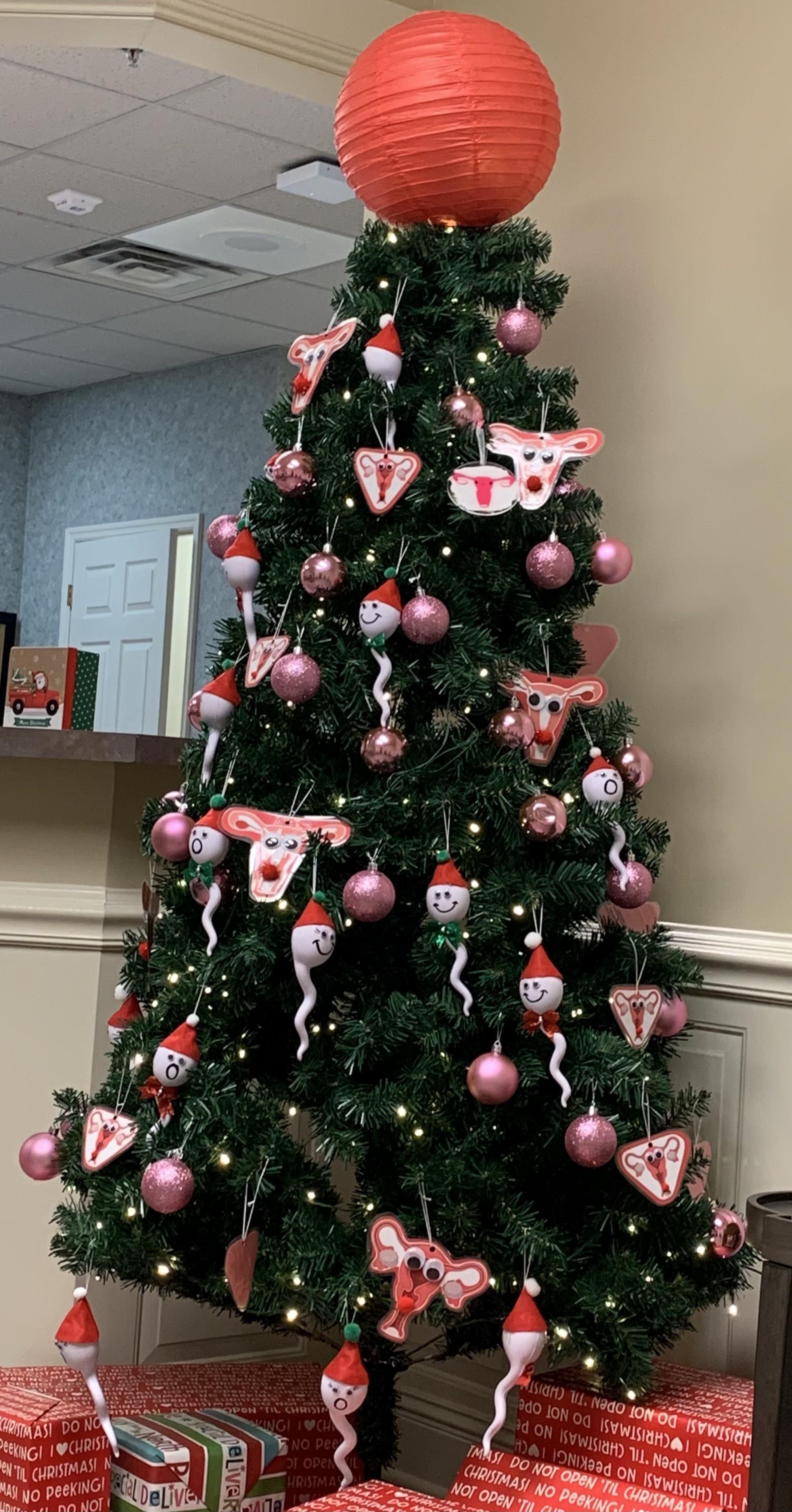 The Christmas tree at my OBGYNs office…