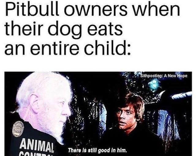 Pitbull is just a buff walter