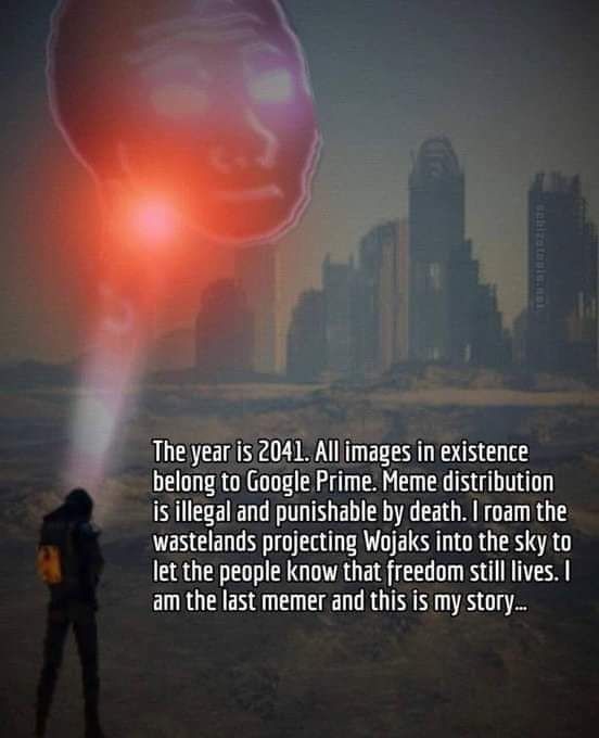 Incidentally that's also the plot and visuals of the average AAA game in 2041
