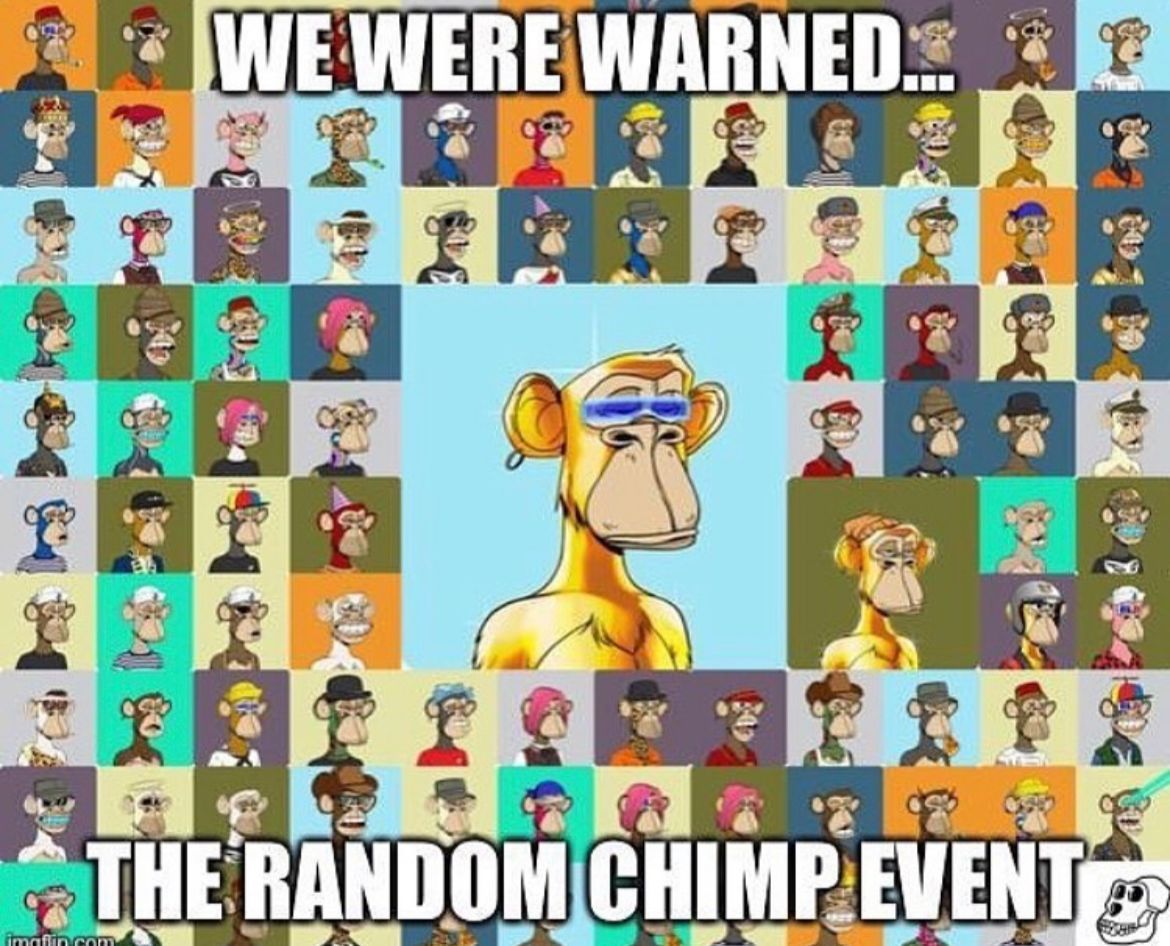 Brb analyzing random memes for hidden get rich schemes
