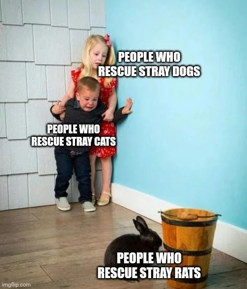 How about stray humans?