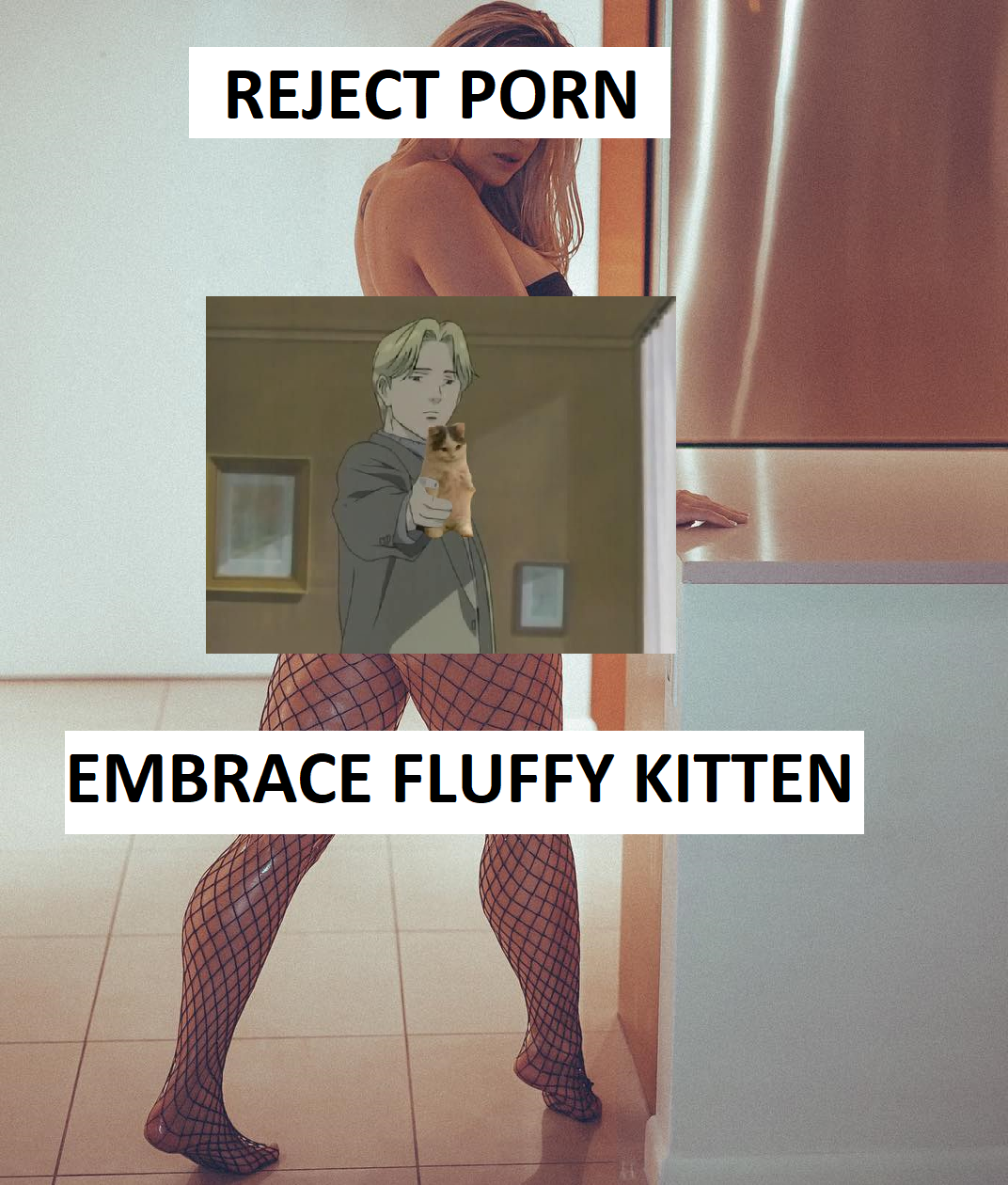 Kitty sure is fluffy and cute :3