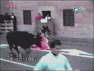 Here's a bull crash