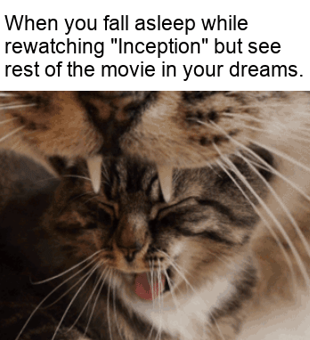 This must be my last dream