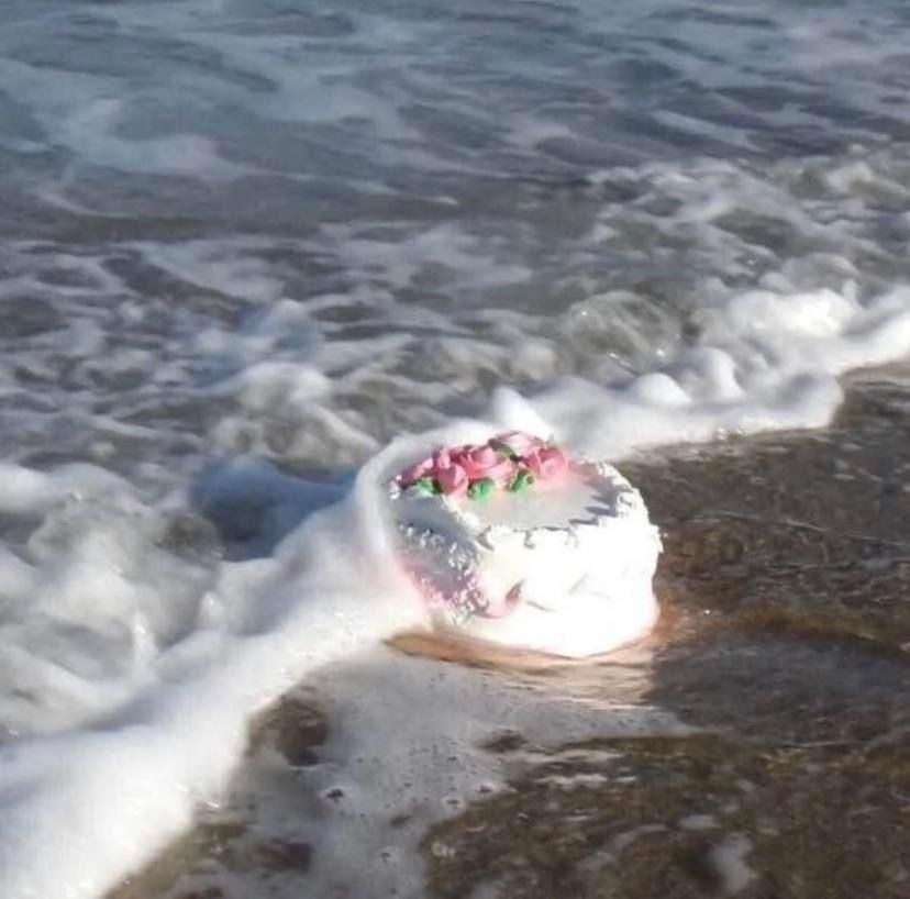 Mama returning to the sea after finishing laying her eggs