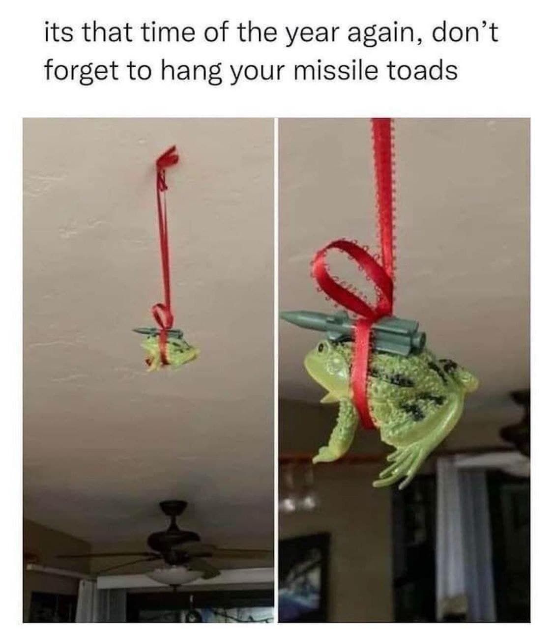 Christmas toad