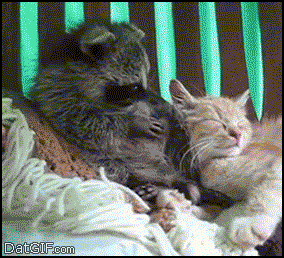Om nom nom nom
