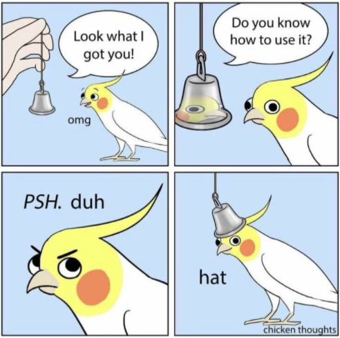Bird knowledge