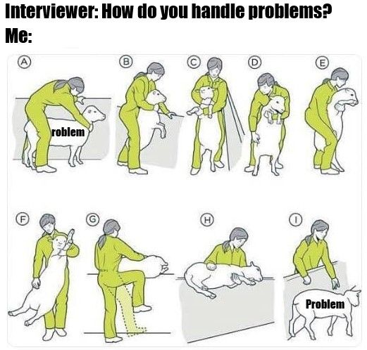 Solve all your problems in one easy step!