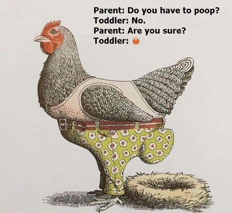 Do you have to poop, son? No Dad.