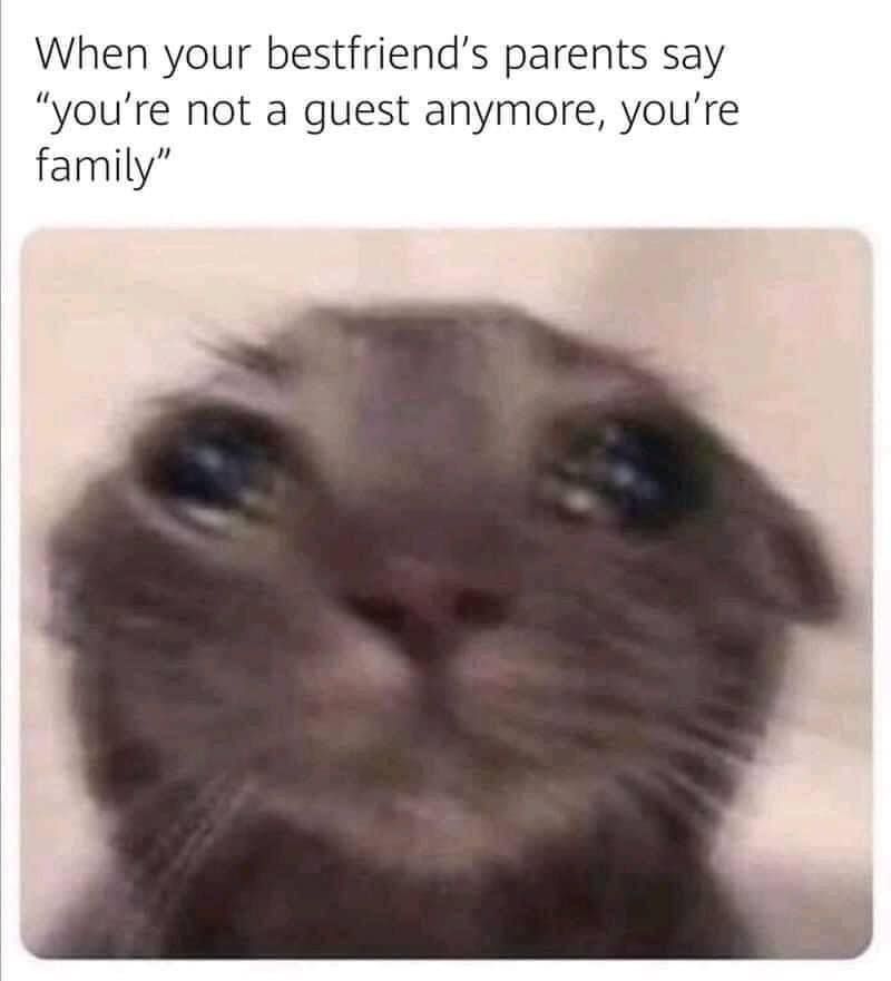 ; _ ;