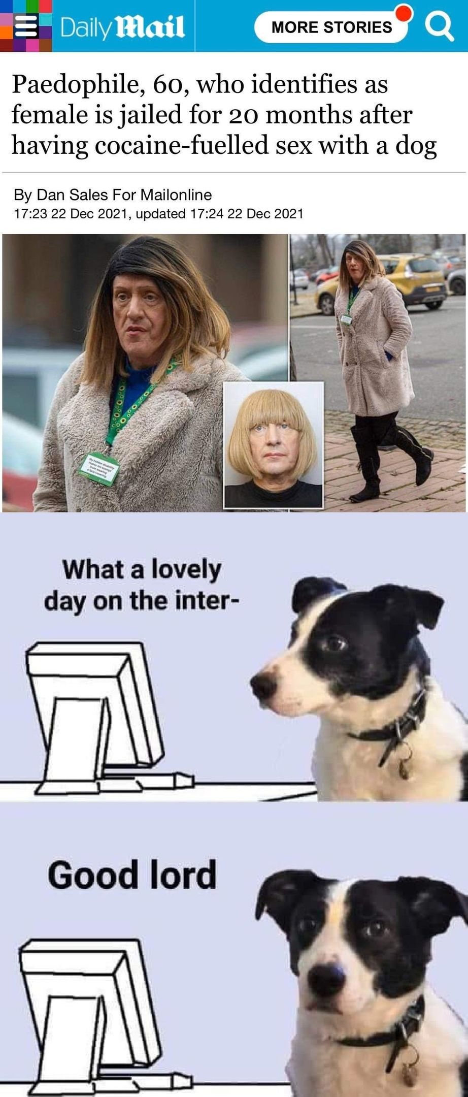dog