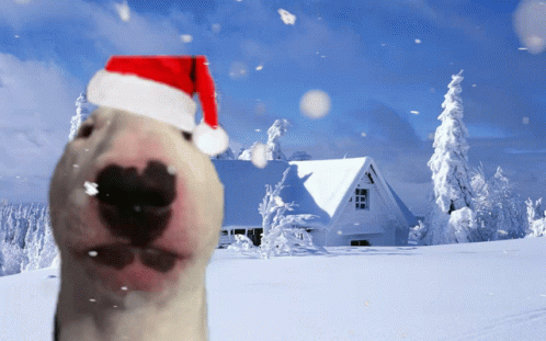 Merry Walter Christmas you beautiful ***s
