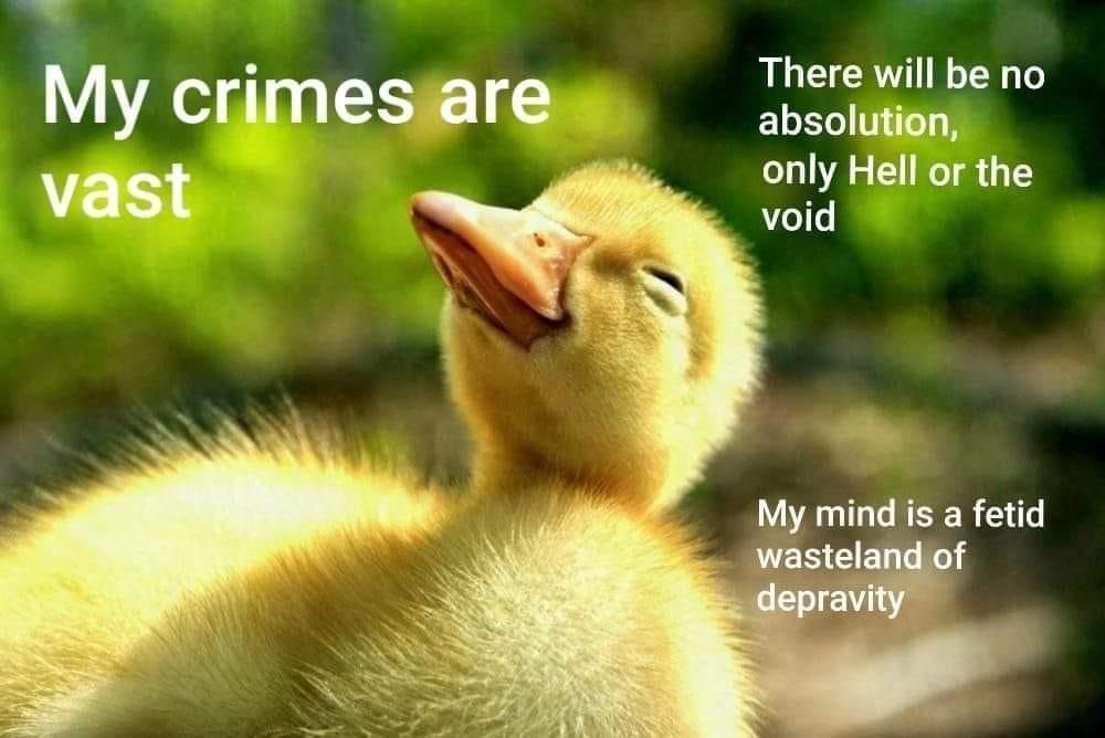 Void take me