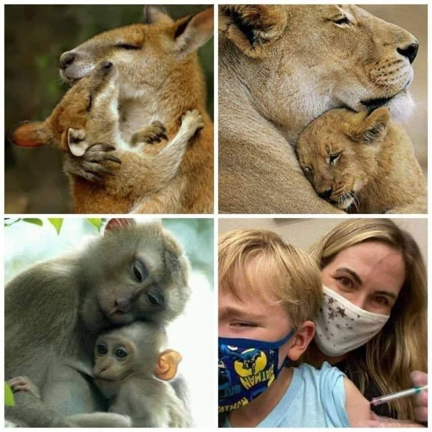 Mother instinct