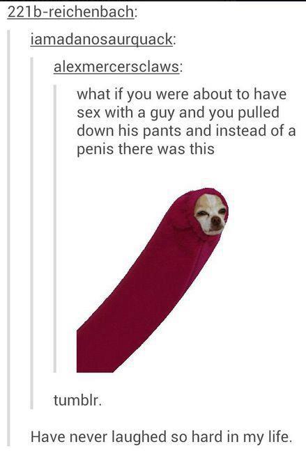 I don't even...