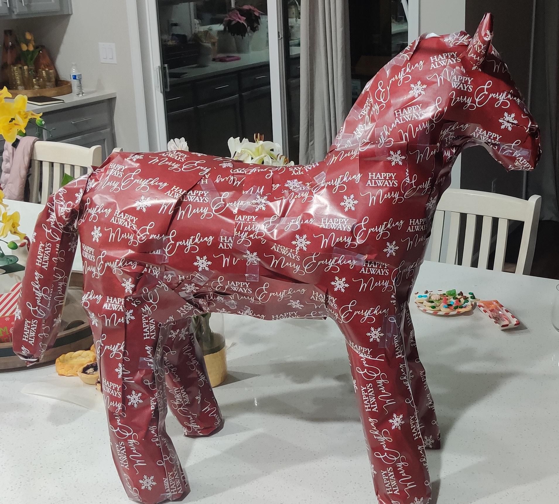 My daughter is obsessed with horses, but I obviously can't afford to buy her one. Bought her a gift card for riding lessons and wrapped it like this