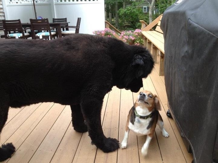This is what true fear looks like.