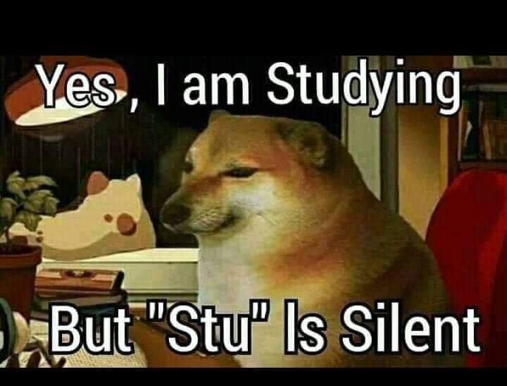 stu