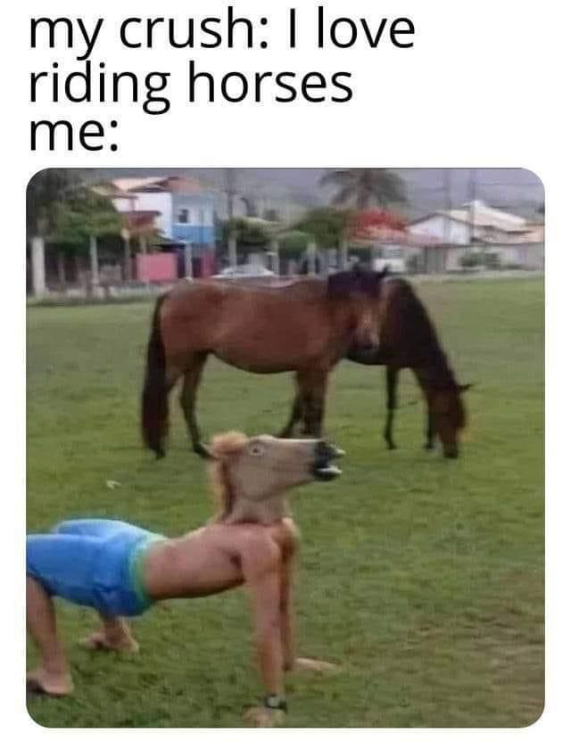 happy horse noises