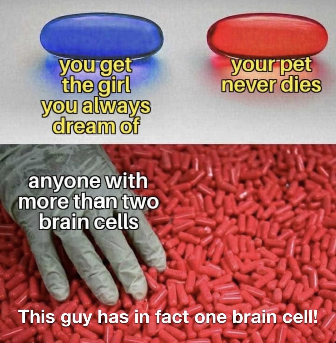 One brain cell..