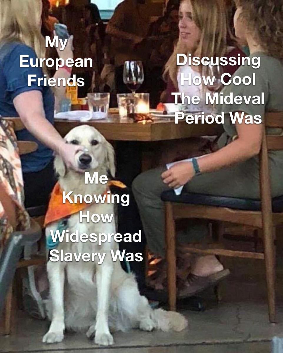 Anyone Else Find it Weird How We Ignore Slavery in History From The Period Between The Romans to The Americans?