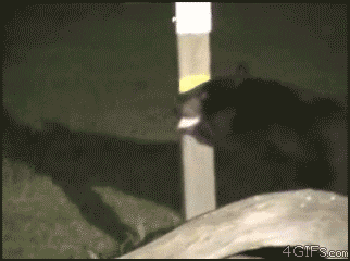 Hey, what's going- OH HOLY CRAP JUMP FOR YOUR LIVES!