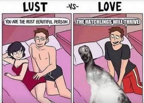 true love