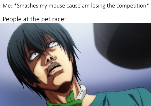 At least it's not a hampster.