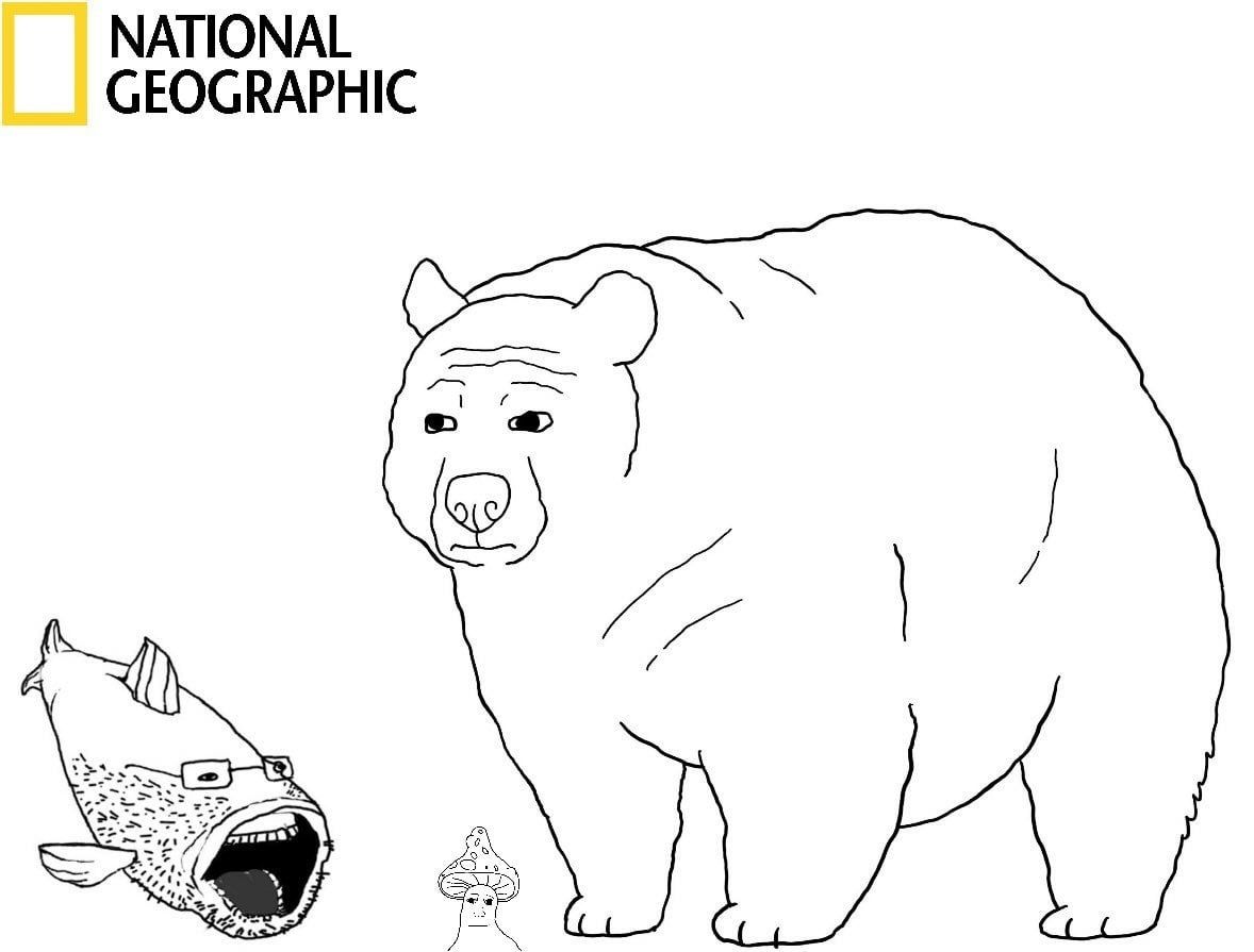 natgeo