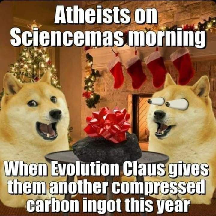 doge