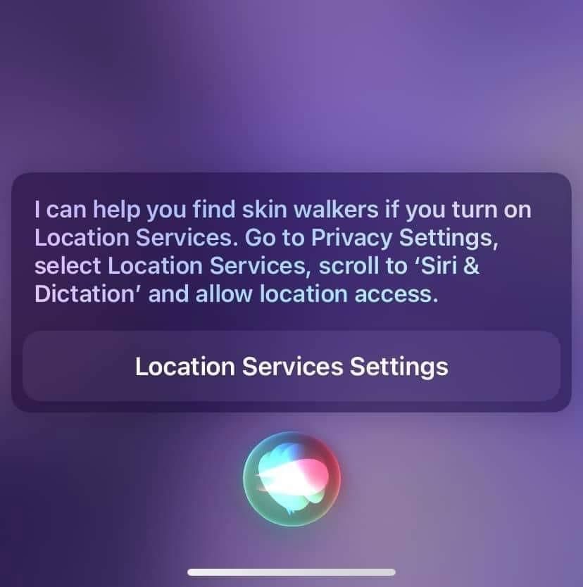 Should I do it?