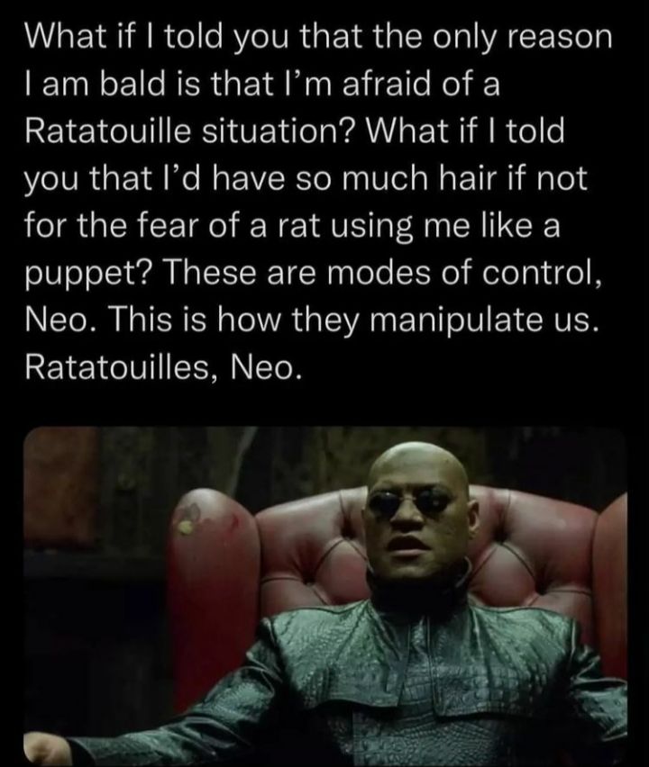 A ratatouille situation