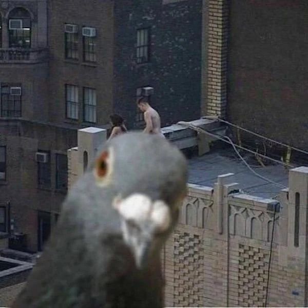 ***